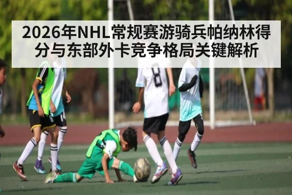 2026年NHL常规赛游骑兵帕纳林得分与东部外卡竞争格局关键解析